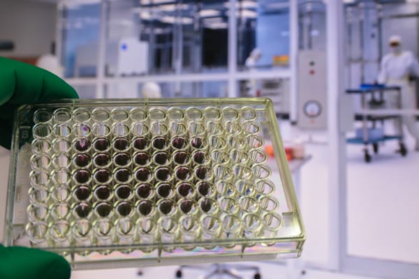 Descubre el Futuro de la Nanotecnología: Autoensamblaje Molecular y Sus Innovaciones
