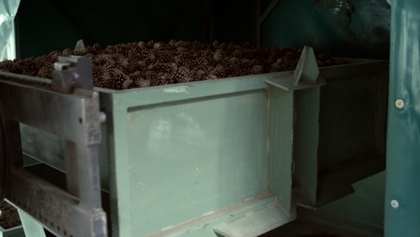 Cómo fabricar compost: Guía completa paso a paso