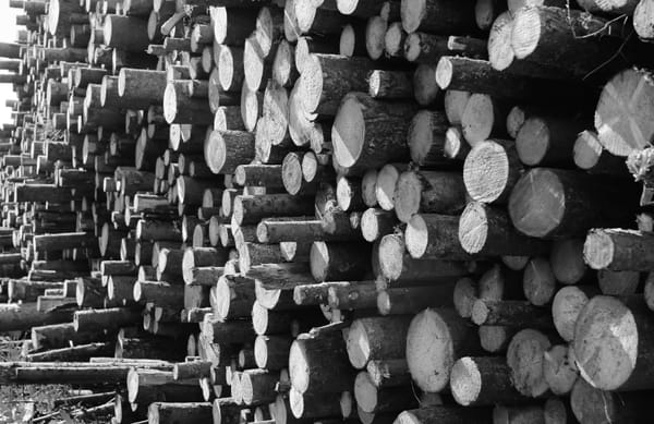 Cómo se fabrica carbón de leña: proceso detallado