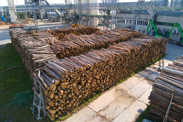 Cómo se fabrica la madera: todo lo que necesitas saber