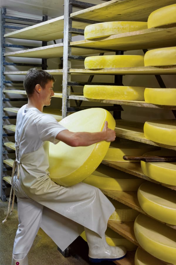 Cómo se fabrica queso: Todo lo que necesitas saber