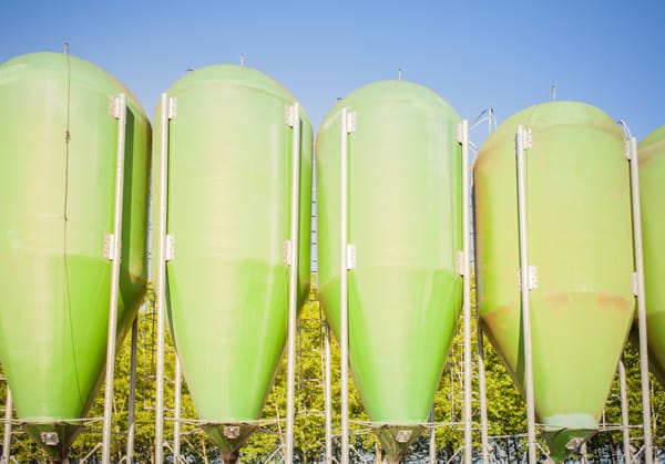 Cómo se fabrican biodiesel: Guía completa