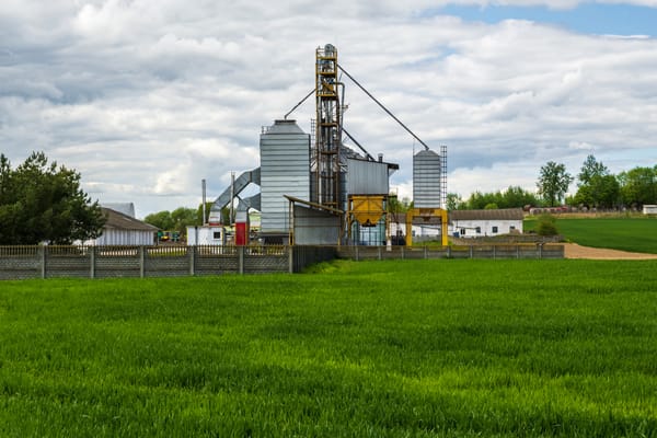 Cómo se fabrican fertilizantes: proceso y detalles