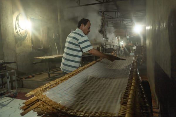Cómo se fabrican palapas: Guía completa