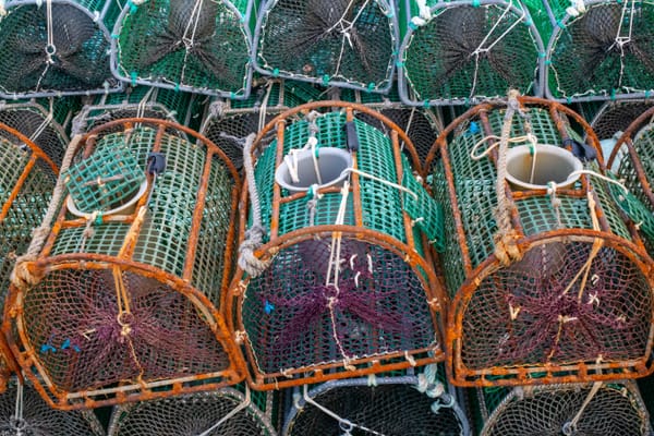 Cómo se fabrican redes de pesca: proceso paso a paso