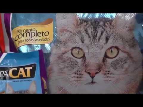 Cómo se fabrican alimentos para animales: proceso detallado